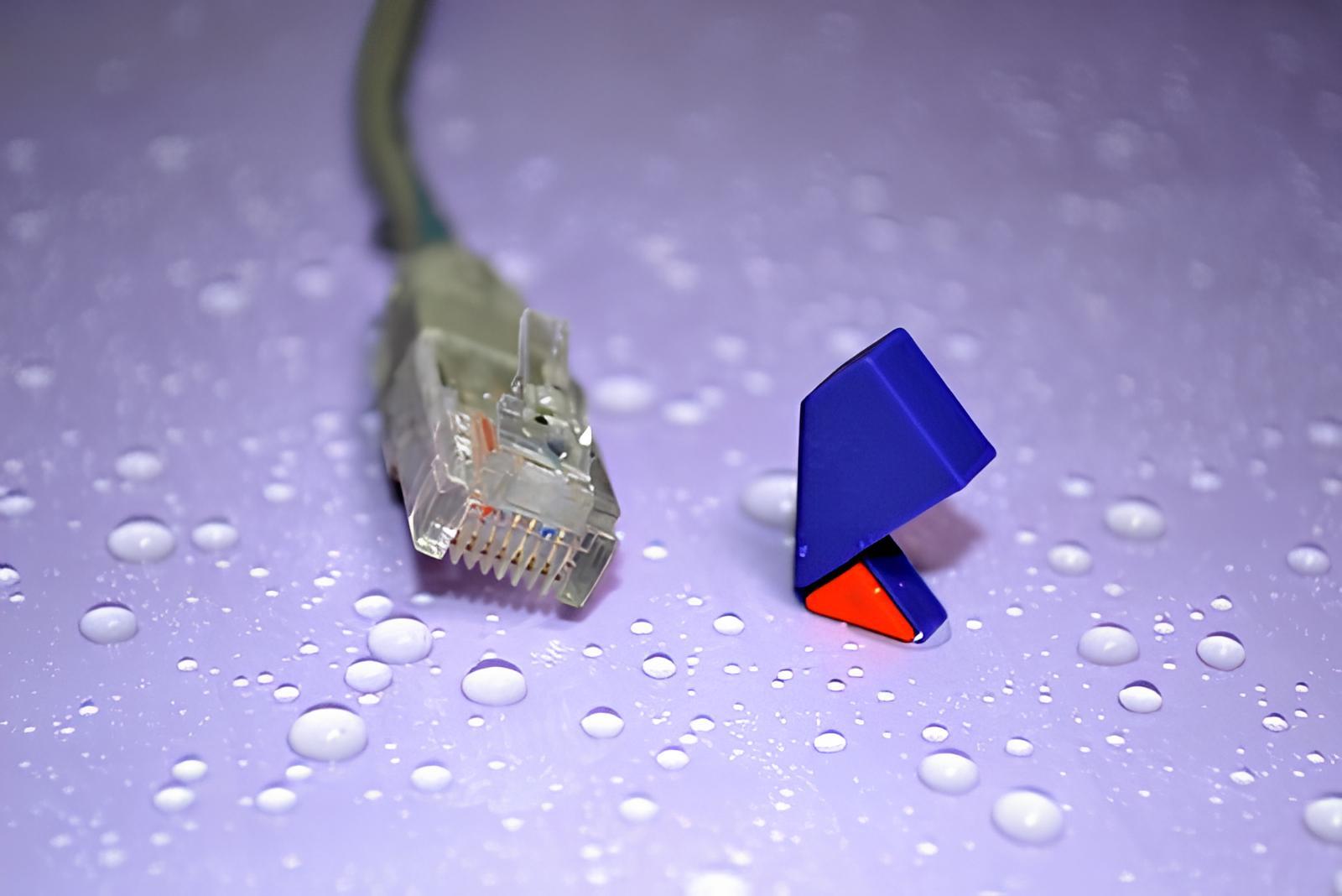 Фото В Каргате появился скоростной интернет и цифровые сервисы «Ростелекома» 2